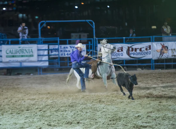 Helldorado dagen rodeo — Stockfoto