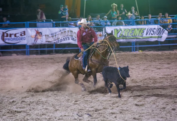 Helldorado dagar rodeo — Stockfoto