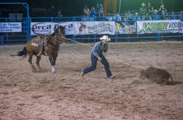 Helldorado dagar rodeo — Stockfoto