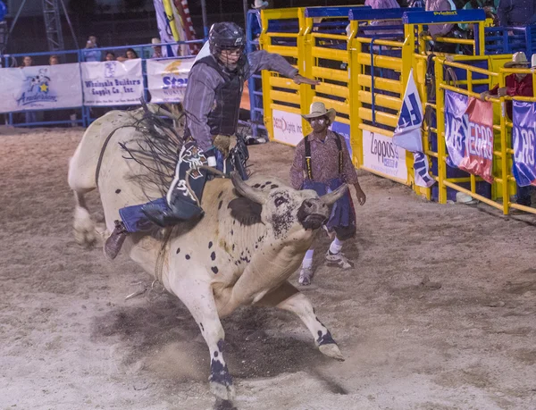 Helldorado dagen rodeo — Stockfoto