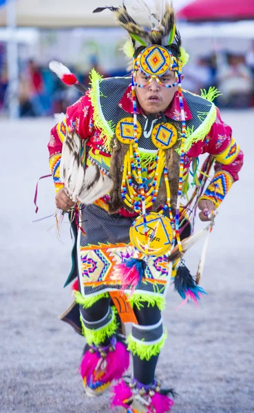 Paiute Tribe Pow Wow — Stock Photo, Image