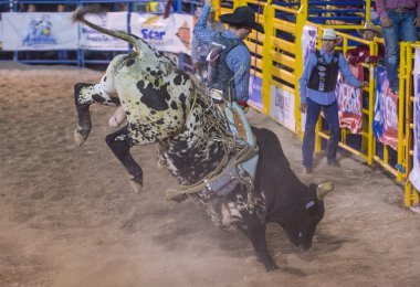 Helldorado gün rodeo