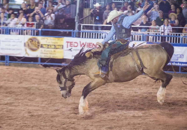 Helldorado dagar rodeo — Stockfoto