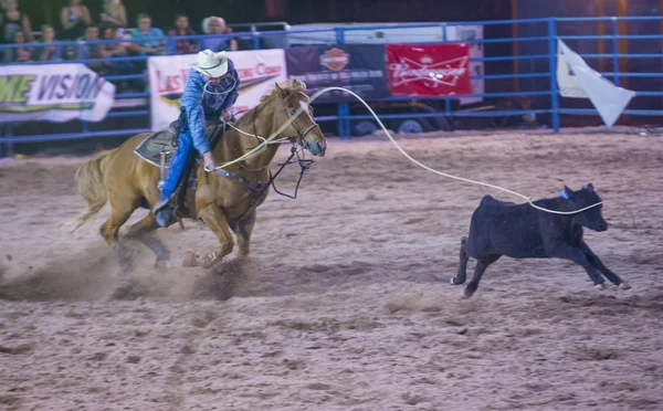 Helldorado dagen rodeo — Stockfoto