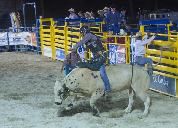 Giorni di Helldorado rodeo — Foto Stock