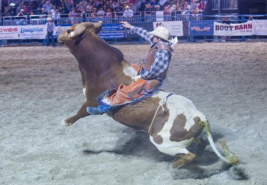 Helldorado gün rodeo