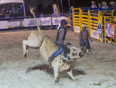 Helldorado gün rodeo