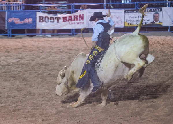 Helldorado dagar rodeo — Stockfoto