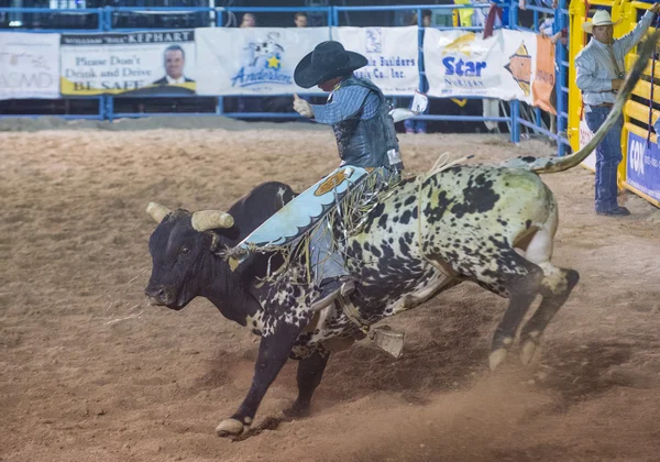 Helldorado dagar rodeo — Stockfoto