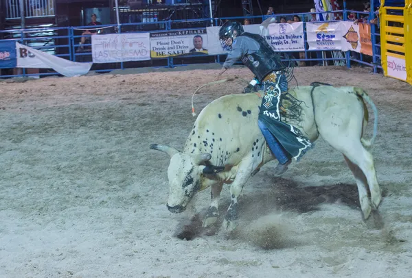 Helldorado dagar rodeo — Stockfoto