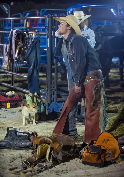 Helldorado days Rodeo — Stock Photo, Image