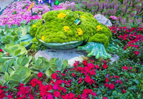 Bellagio Hotel Conservatório & Jardins Botânicos — Fotografia de Stock