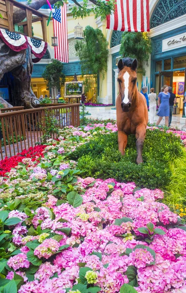 Bellagio Hotel Conservatory & Botanical Gardens — Stock Photo, Image