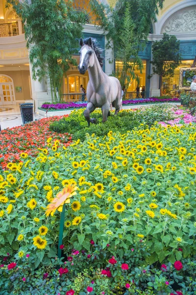 Bellagio Hotel Conservatorio y Jardines Botánicos — Foto de Stock