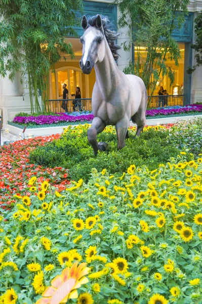 Bellagio Hotel Conservatory & Botaniske haver - Stock-foto