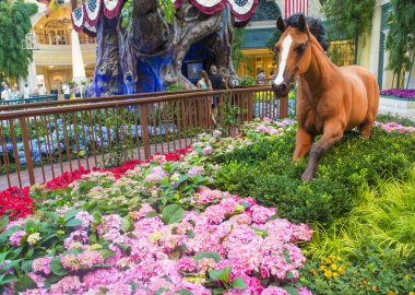 Bellagio Hotel Konservatuarı ve Botanik Bahçeleri