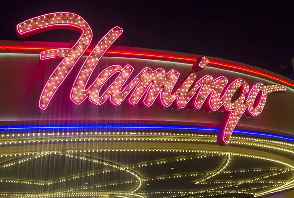 Las Vegas, Flamant rose — Photo