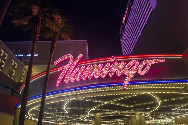 Las Vegas, fenicottero — Foto Stock