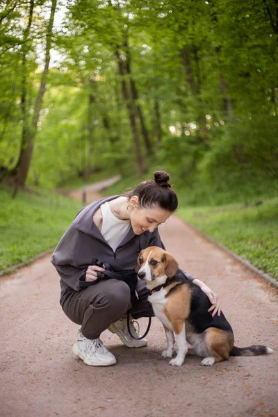 Jonge Vrouw Met Een Schattig Beagle Hond — Stockfoto