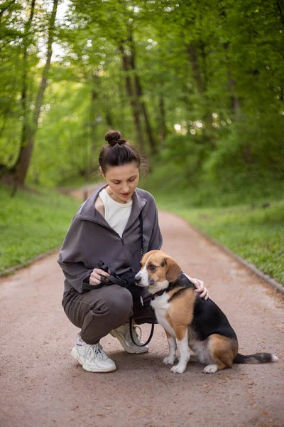 Jonge Vrouw Met Een Schattig Beagle Hond — Stockfoto