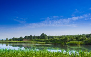 bir göl, Bahar yatay