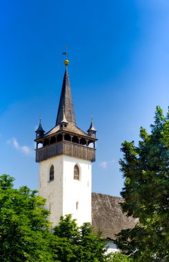 Santo stefano kerk in belluno, Italië