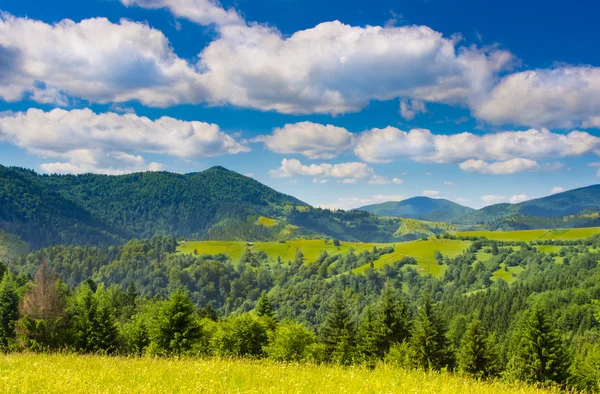 ภูเขาที่มีทุ่งหญ้าสีเขียว — ภาพถ่ายสต็อก