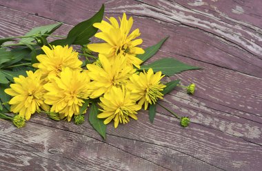 çiçekler sarı renk ile kompozisyon