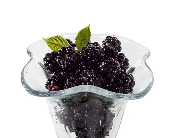 Blackberries close-up — стоковое фото