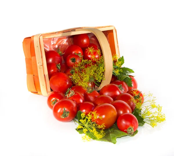 Tomatoes spilling from bucket — Stock Photo, Image
