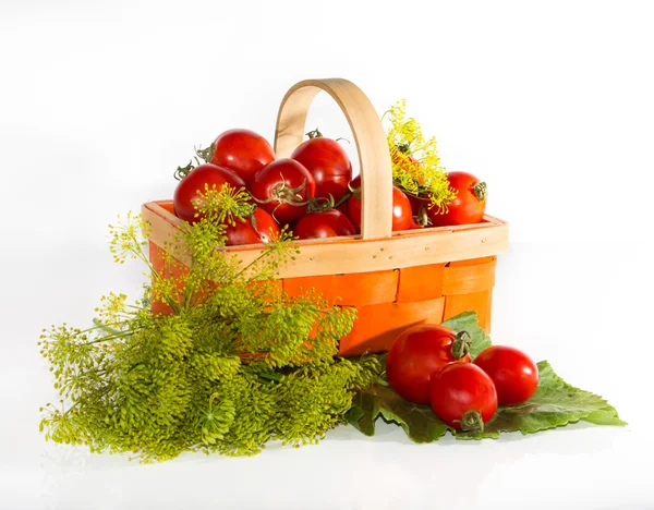 Tomatoes in the basket, greens — Stock Photo, Image