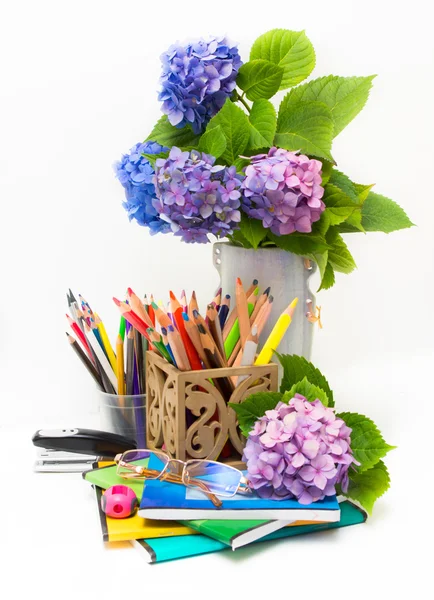 Día del Profesor.Ramo de flores hortensias y materias escolares . —  Fotos de Stock