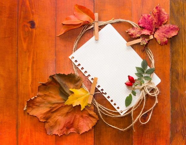 Autumn leaves with white paper for text — Stock Photo, Image