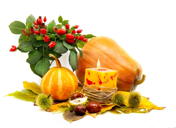 sonbahar yaprakları ile hasat kabaklar.