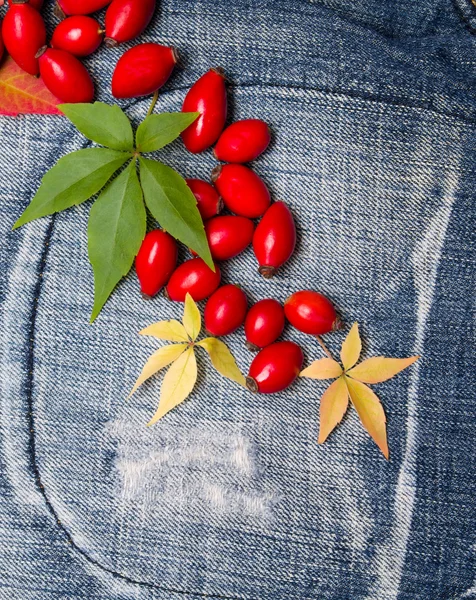 Outono folhas jeans fundo — Fotografia de Stock