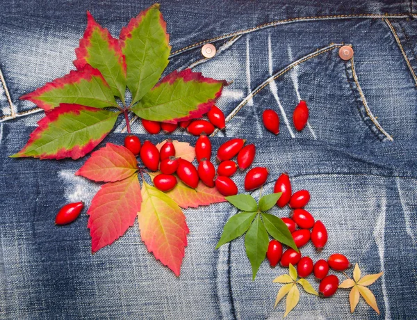 Autumn leaves jeansbackground — Stock Photo, Image