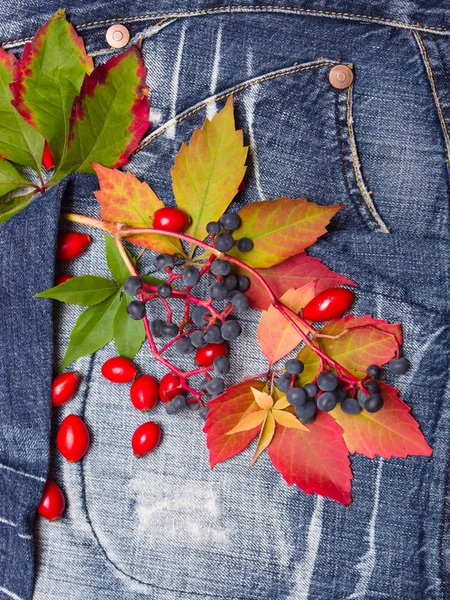 Autumn leaves jeansbackground — Stock Photo, Image