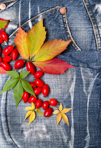 Autumn leaves jeansbackground — Stock Photo, Image