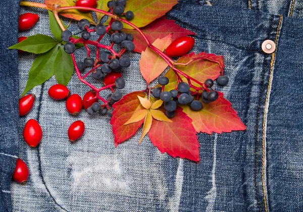Outono folhas jeans fundo — Fotografia de Stock