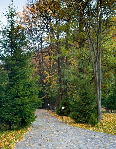 Höstpark — Stockfoto