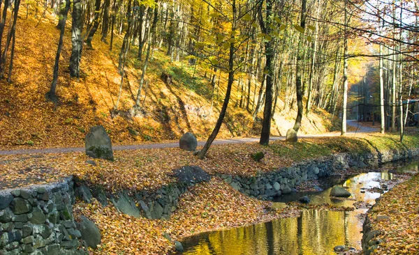 Autumn landscape in the forest — Stock Photo, Image