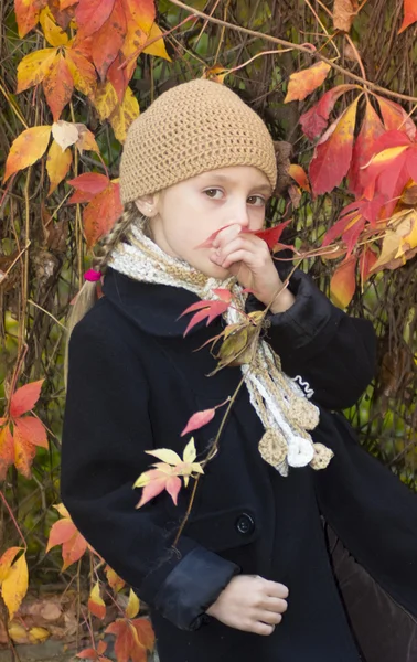 Girl with autumn — Stock Photo, Image