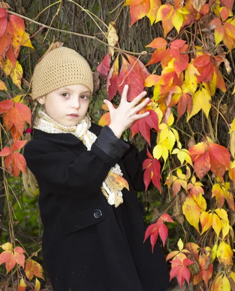 Girl with autumn — Stock Photo, Image