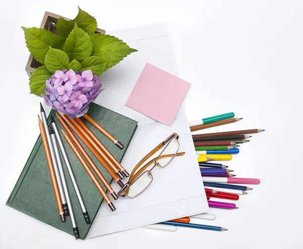 Bloemen hortensia's en schoolvakken. — Stockfoto