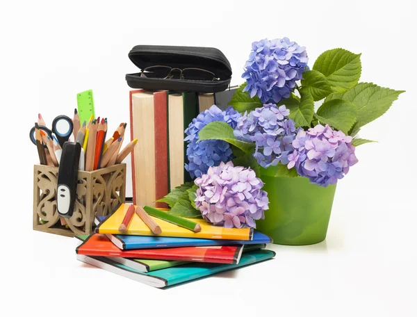 Hortensia bloemen en schoolvakken — Stockfoto