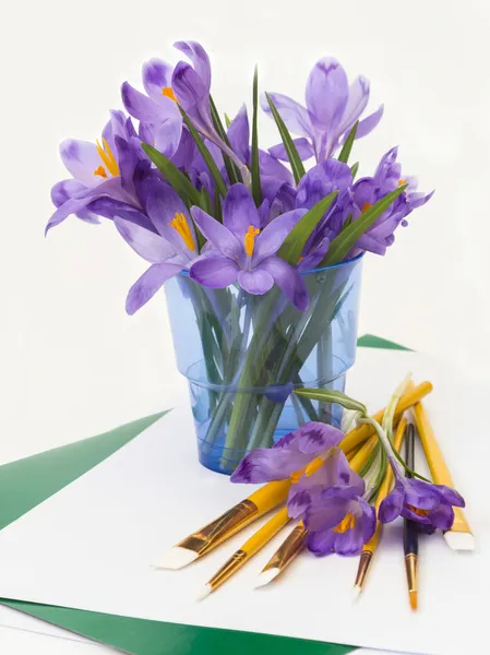 Purple spring crocus flowers. — Stock Photo, Image