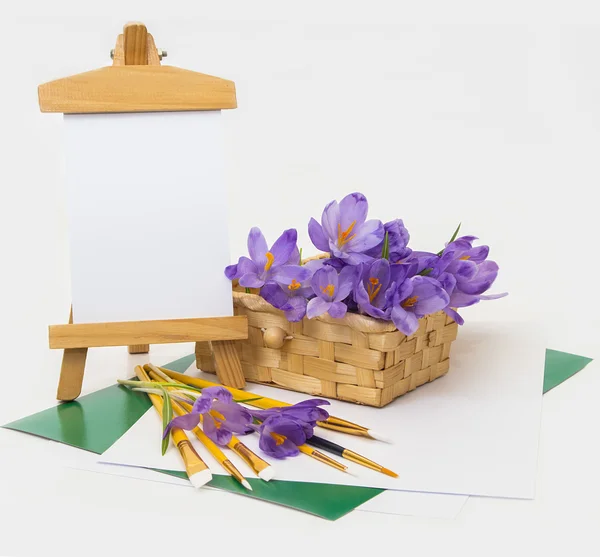 Krokus jarní květiny v košíku. — Stock fotografie