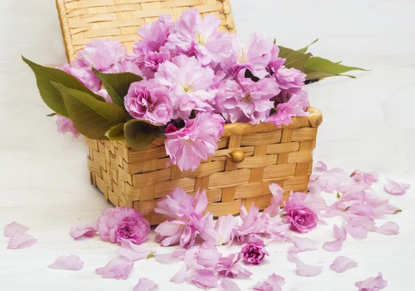 Sakura flores en la tarjeta del día de la madre —  Fotos de Stock
