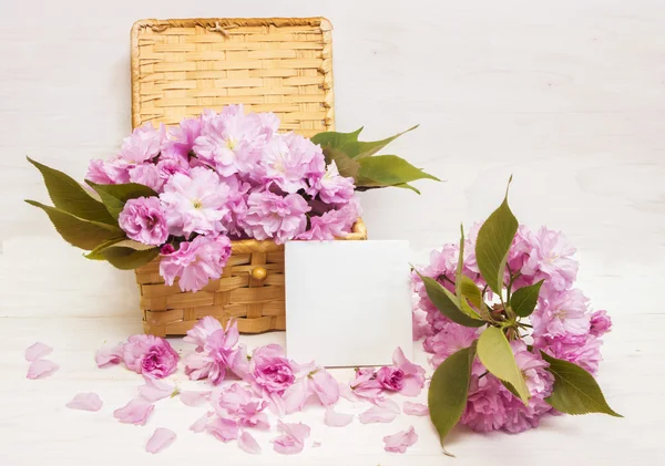 Sakura flores no cartão do Dia das Mães — Fotografia de Stock
