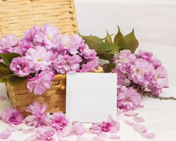 Sakura flowers on Mother's Day card — Stock Photo, Image